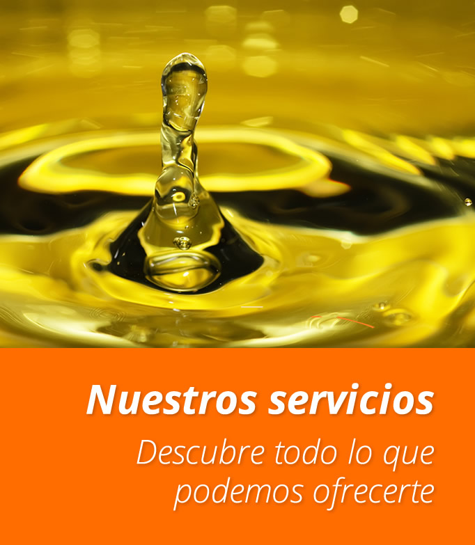 Servicios de Grinoil